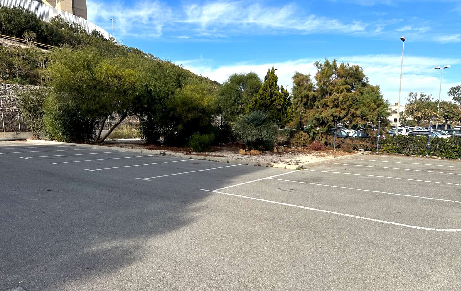 zona-parking-vehiculos-coches